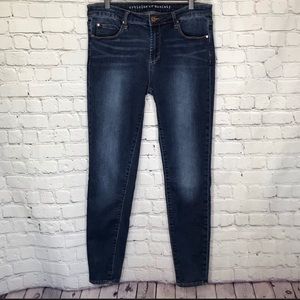 Articles of Society Sarah skinny jeans 31